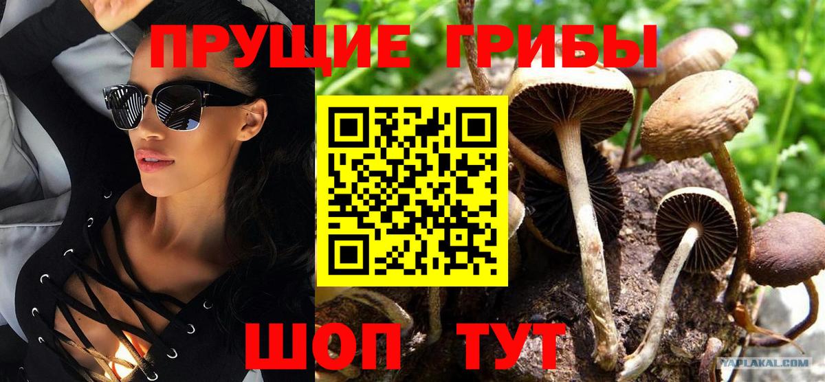 где можно купить   Галлюциногенные грибы ЛСД  Чернушка  Вход с VPN  Псилоцибиновые грибы мухоморы 