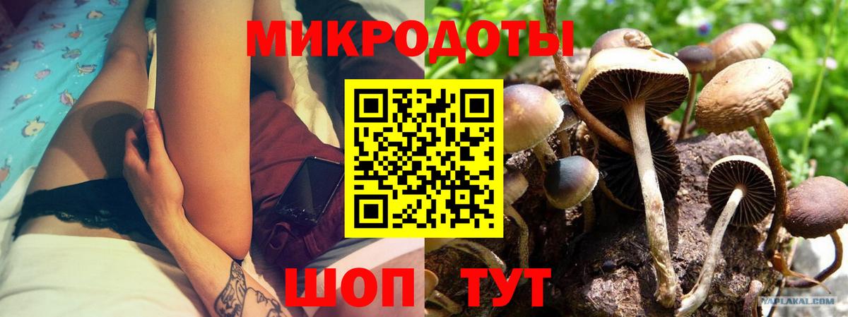 Галлюциногенные грибы ЛСД Чернушка