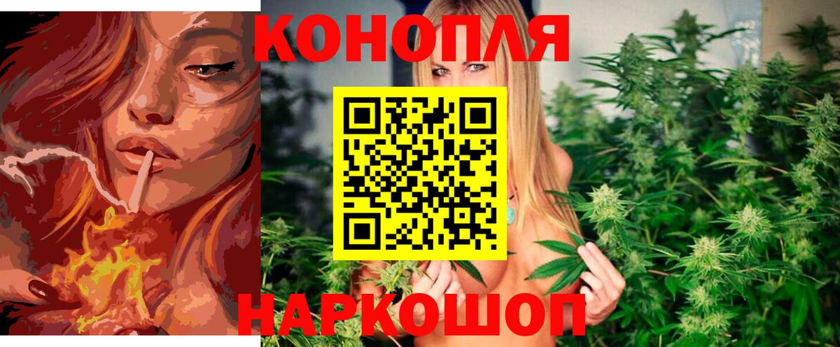 Бошки Шишки SATIVA & INDICA Чернушка